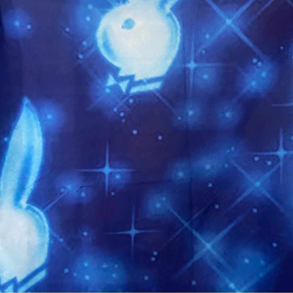 Playboy bunny 90s back drop